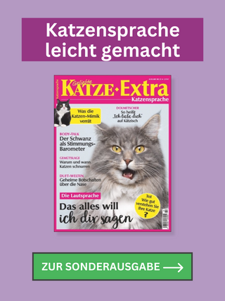 Sonderheft_GK_Katzensprache